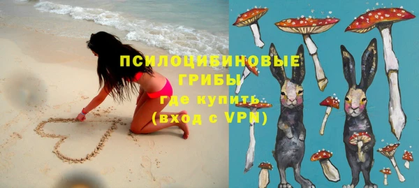 каннабис Майский